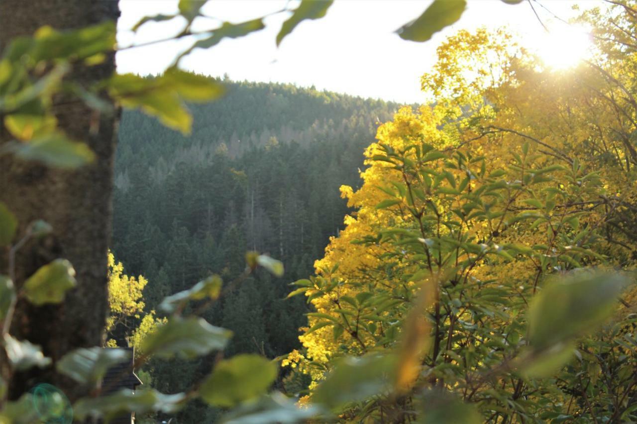 Zajazd Górski Kuźnice Zakopane Exterior foto